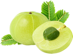Be Organic Live Nature