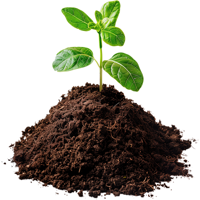 Cow Fertilizer